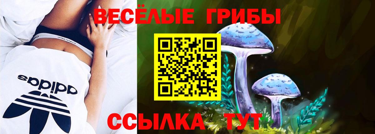 Трёхгорный  Галлюциногенные грибы GOLDEN TEACHER  Вход с VPN 